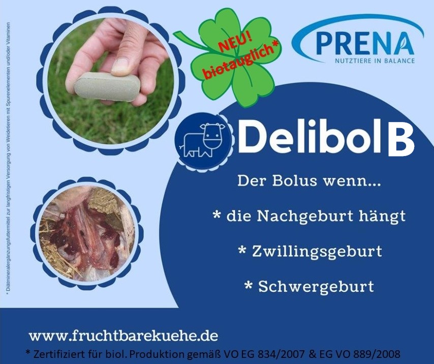 Prena